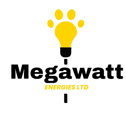 Megawatt ERP